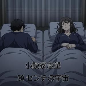 30センチの宇宙