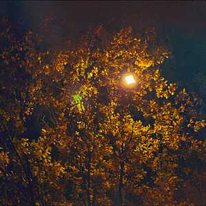 поздней ночью