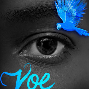Voe (Instrumental)