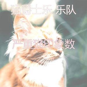 安静的猫在家声音
