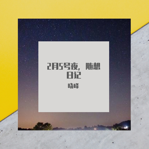 2月5号夜，随想日记（demo）