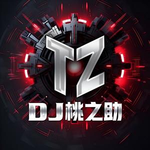 跳楼机DJ（桃之助-Remix）