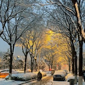 瑞雪-整曲