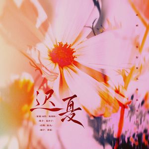 【全职高手双花同人曲】迟夏