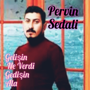 Gelişin Ne Verdi Gedişin Ala