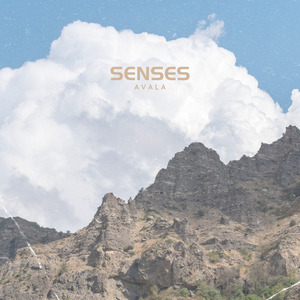 Senses