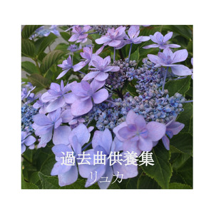 ノイズマシーン (feat. MEIKO)