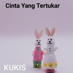 Cinta Yang Tertukar
