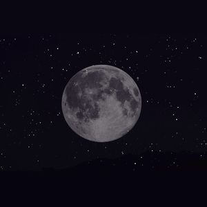 最后一面_爱笑的柴柴怪_干音