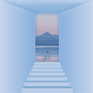 노래와 미소로 가득한 순간들