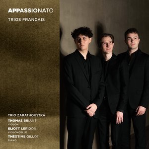 Trio avec piano, Op. 120: I. Allegro, ma non troppo