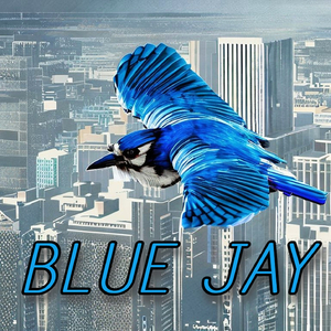 Blue Jay