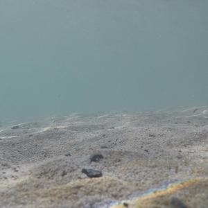 Warten (Tezcan Erol)