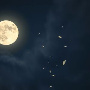 降りしきる夜の悲しみ