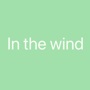 In the wind