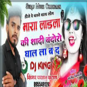 मारा लाडला की शादि बंदौरौ घाल ल्या बाद