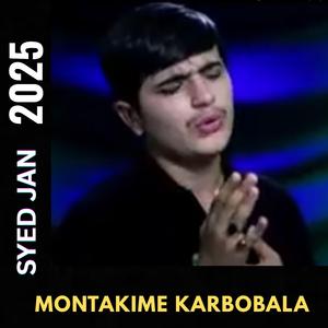 Montakime karbobala