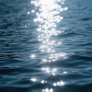 明月如画照天涯