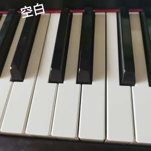 空白 (伴奏)