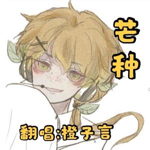 芒种（撩人小少年ver）