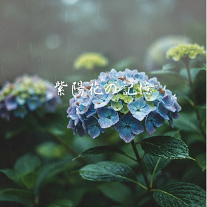紫陽花の記憶