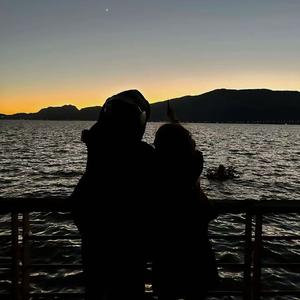 木屋买买买（Paradise）