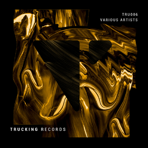 The Psychomagnetic Warrior (Original Mix)