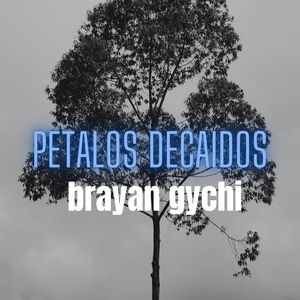 Petalos Decaidos