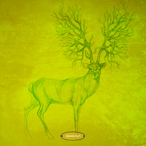 Hyperdreamer (Modulest Remix)