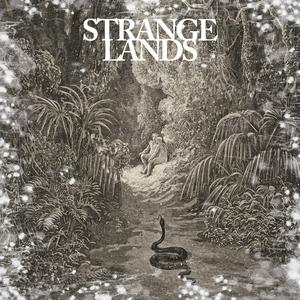 Palms (Instrumental)