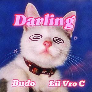 DARLING (feat. LIL VRO C)