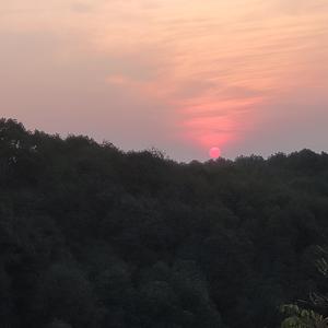 温哥华悲伤一号（竹笛版）