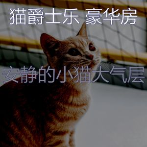 温和小猫梦想