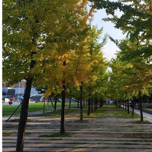 没有你的跨年夜