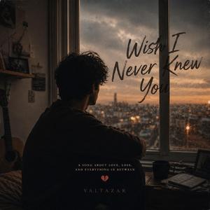 Wish I Never Knew You