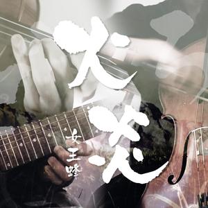 【小提琴×大提琴×电吉他】火炎