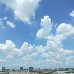 TANG（prod WayMen）