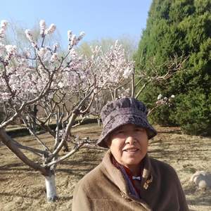 妈妈的期盼我的信守