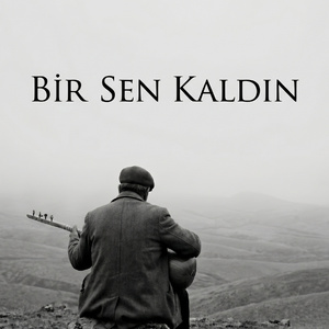 Bir sen kaldın
