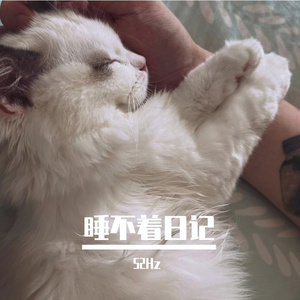 睡不着日记(ProdEVOMUSIC或Siren)