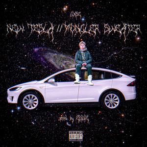 New Tesla/Moncler Sweater