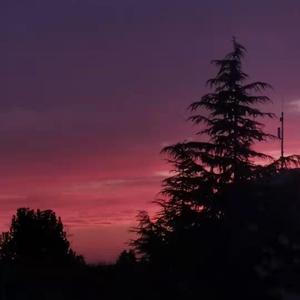 他在溪水林间穿行