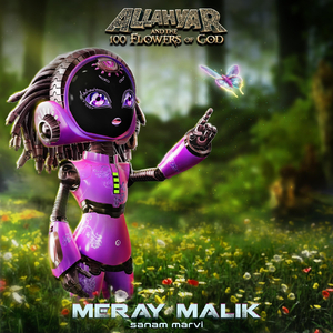 Meray Malik (Original Soundtrack to "Allahyar and the 100 Flowers to God")