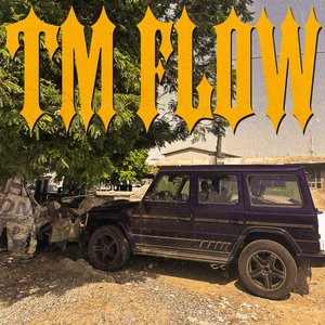 Tm Flow