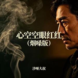 心空空眼红红 (烟嗓版)