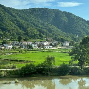 格桑拉（广场舞）