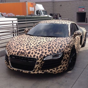 Leopardo