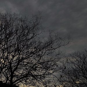 太上老君五斗金章受生经