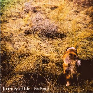 ドキュメンタリー