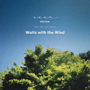 Swaying Curtains at Noon